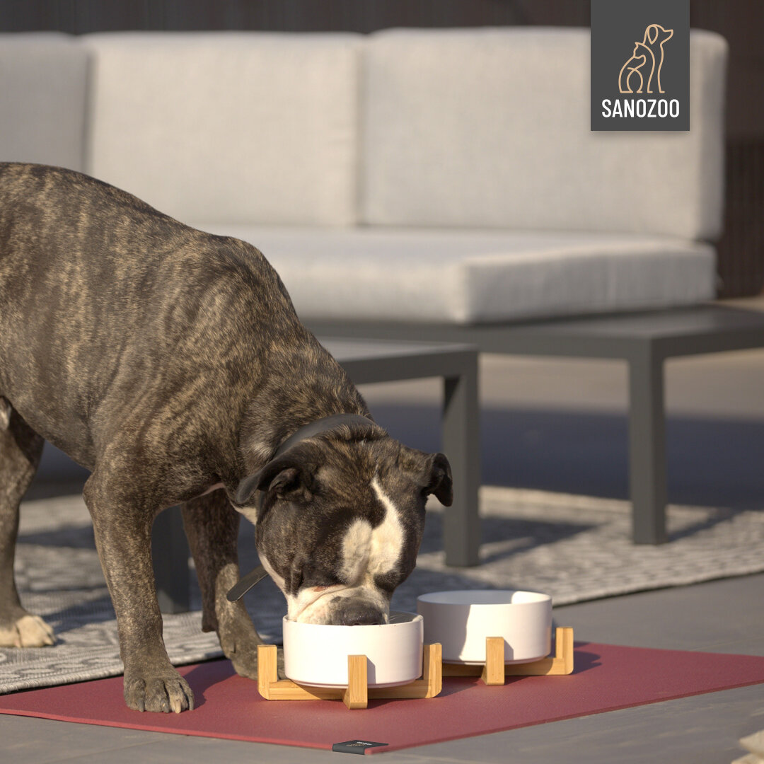 Hundefrühstück im Freien! - 