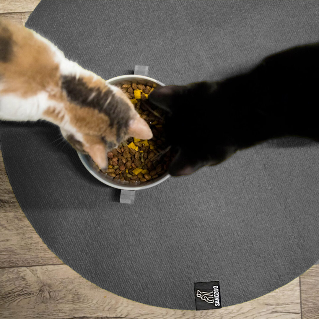 An alle Katzenliebhaber da draußen! - 