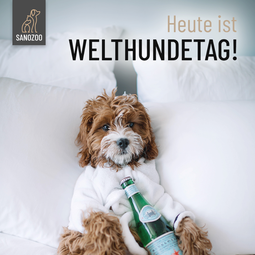 Happy Welthundetag! - 