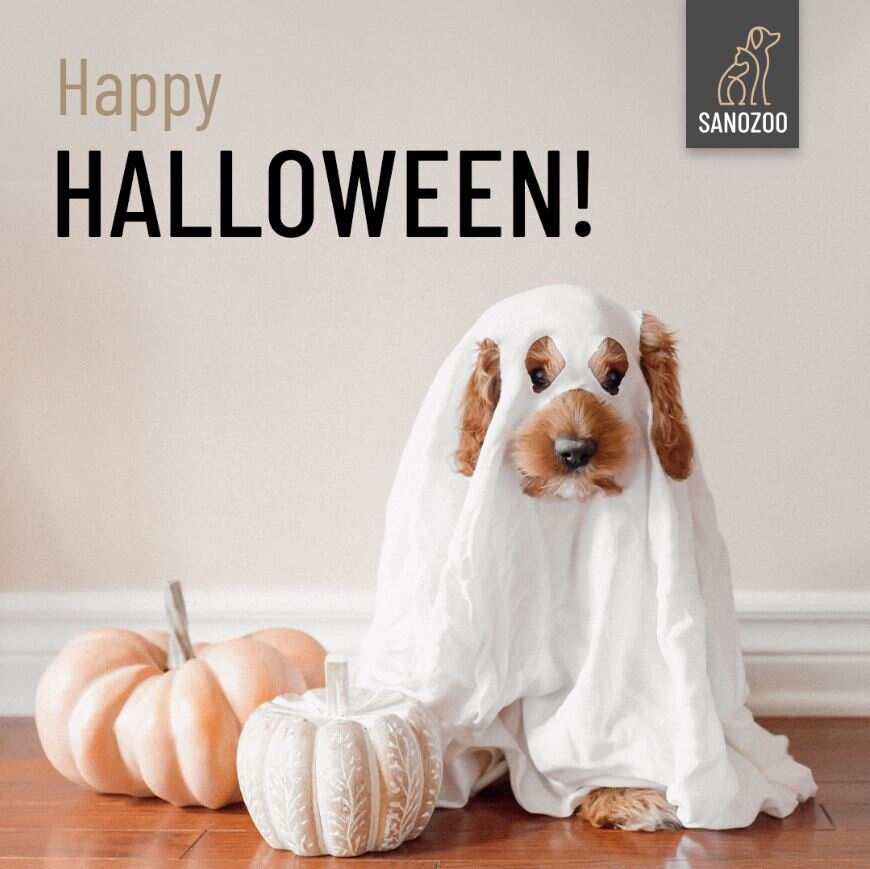 Halloween ist vorbei, und wir hoffen, ihr hattet eine gruselig gute Zeit! - 