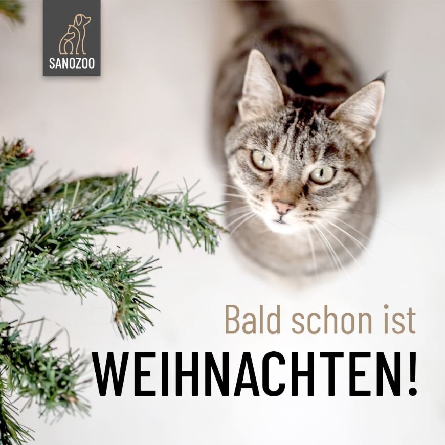 Napfunterlagen ab 9,90€ verschenken! - 