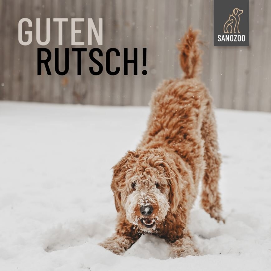 SANOZOO® wünscht euch einen guten Rutsch! - 