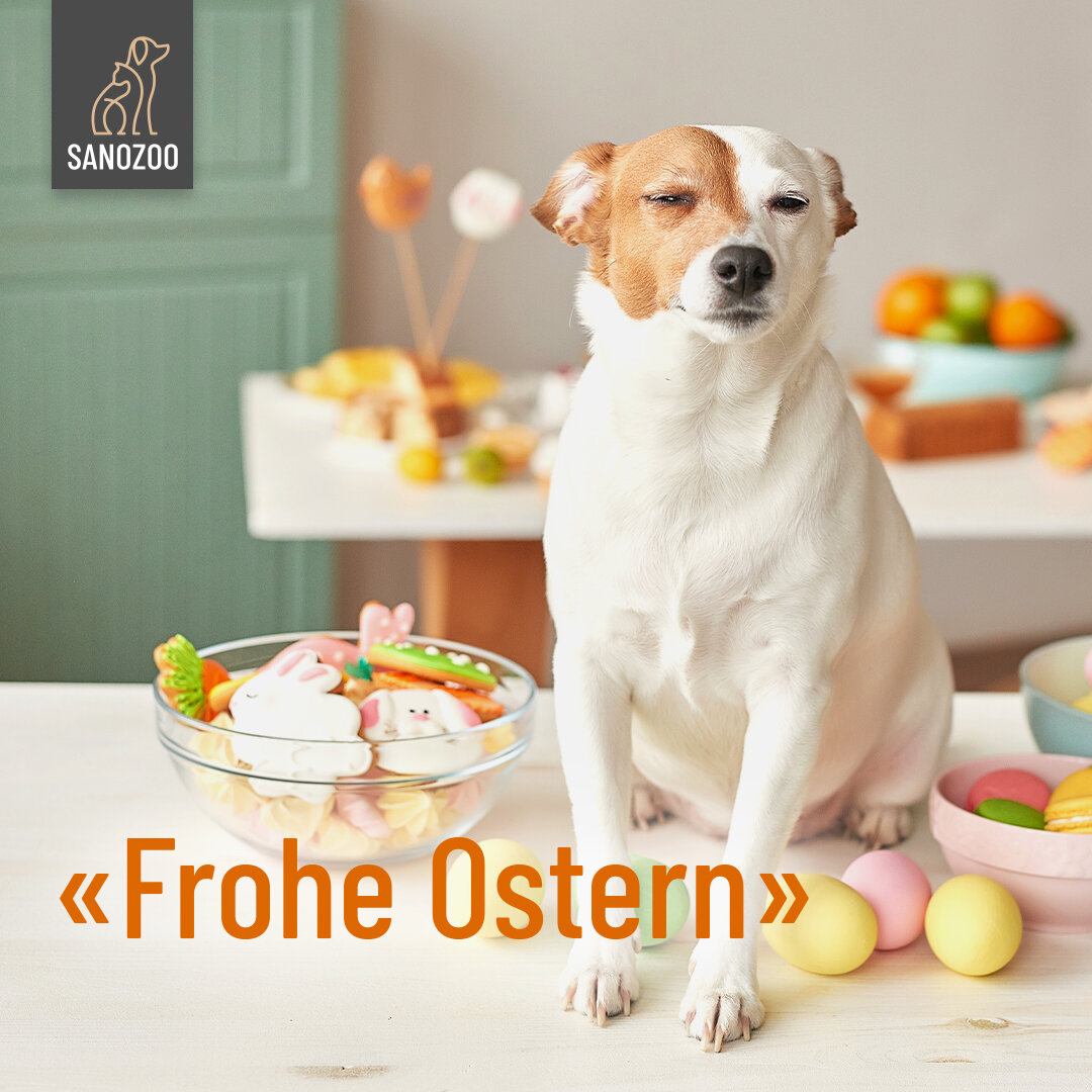 Frohe Ostern von SANOZOO® - 