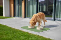 SANOZOO® - Napfunterlage, Öko-Tex, Blatt Olivgrün 40 x 60 cm